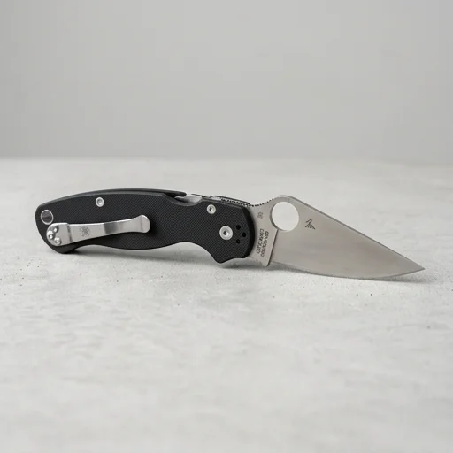 Spyderco Paramilitary 2 — view 2